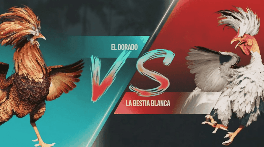 cagivapg online jogos plataforma